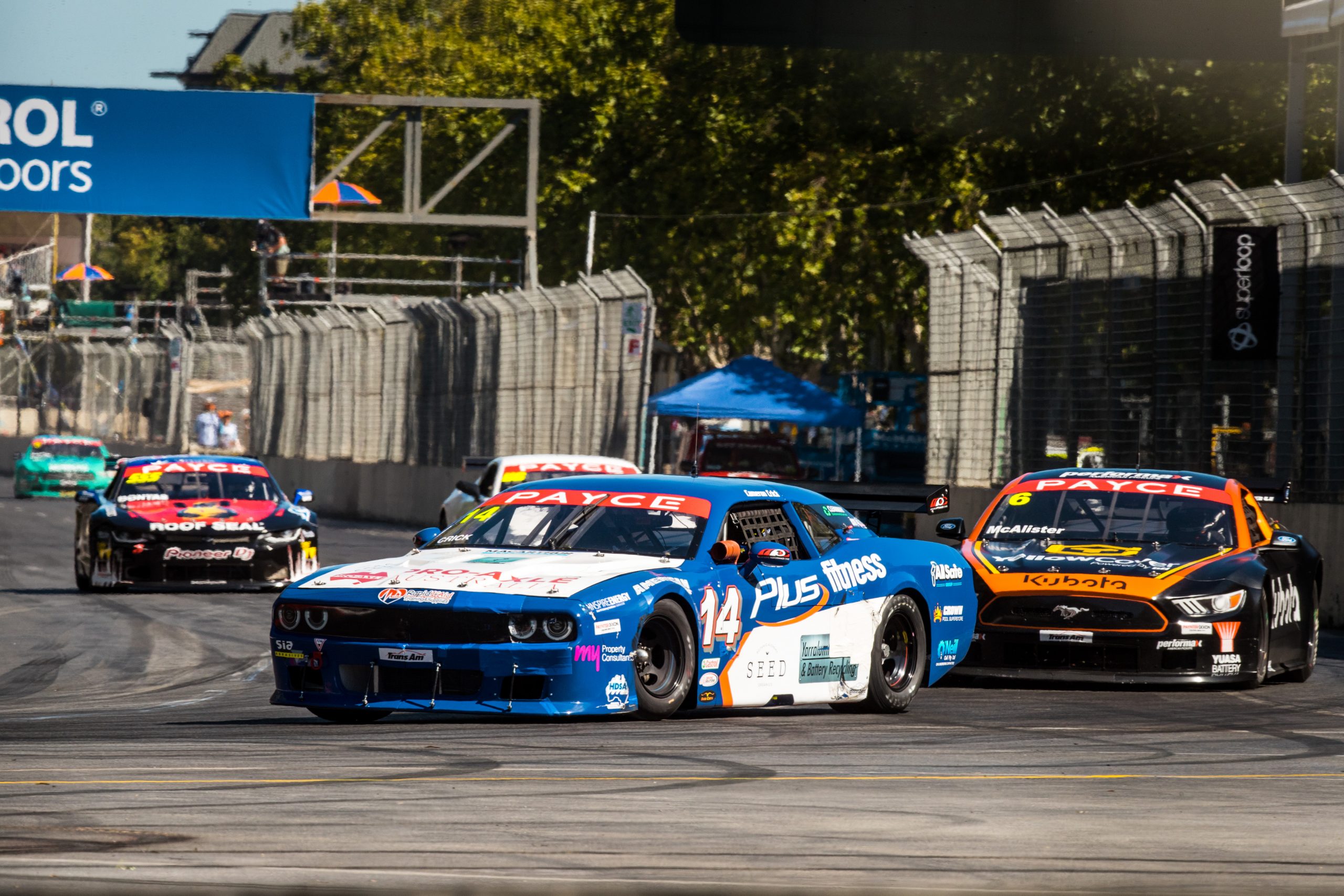 Cameron Crick working on National Trans Am Series return - SpeedSeries